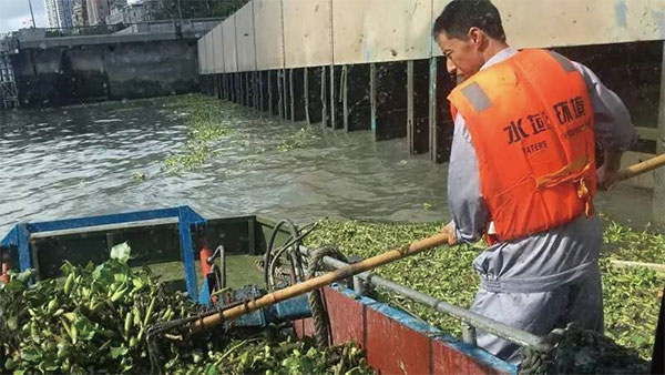 江西贛州河面水葫蘆打撈及水面垃圾清運服務保潔項目